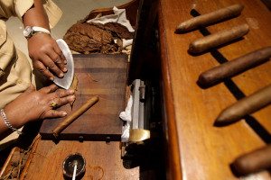 Cuban cigars stand out because of the island’s distinct soil, the legendary brands associated with the country, and the shapes in which they are rolled. Photo: Rueters